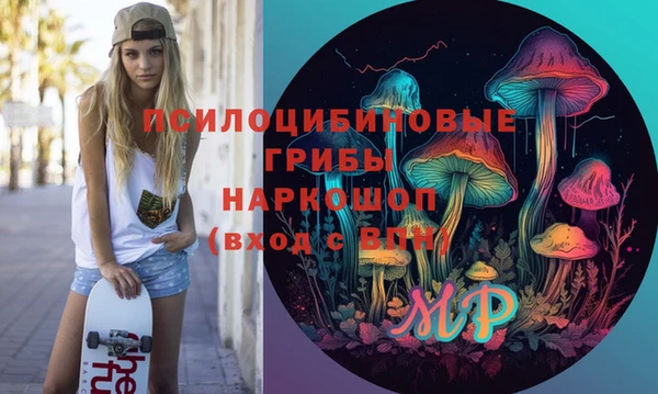 молекула духа Арсеньев