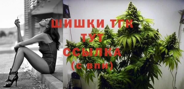 молекула духа Арсеньев