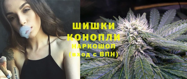 молекула духа Арсеньев