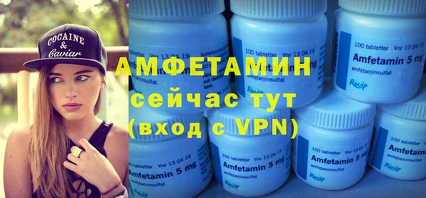 молекула духа Арсеньев