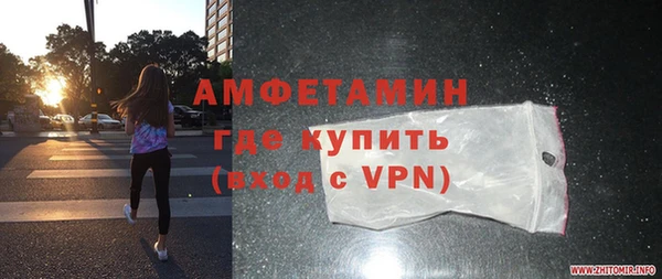 молекула духа Арсеньев