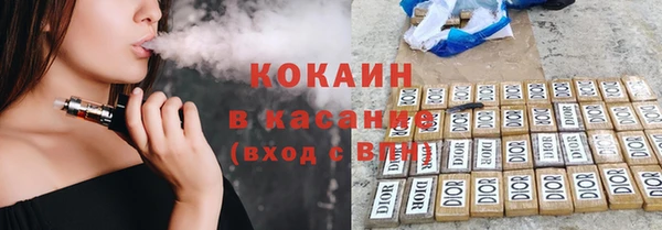 молекула духа Арсеньев