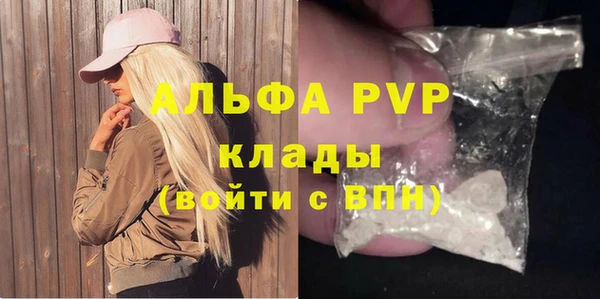 молекула духа Арсеньев