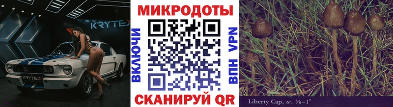 Псилоцибиновые грибы мухоморы  цены наркотик  OMG tor  Северобайкальск 